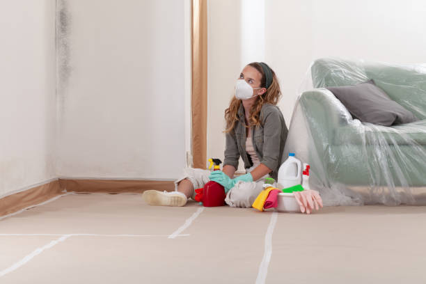 Reliable Black Mold Removal contractor in Sparrows Point, MD by WQB Mold Removal
